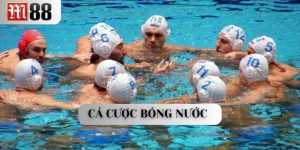 cá cược bóng nước