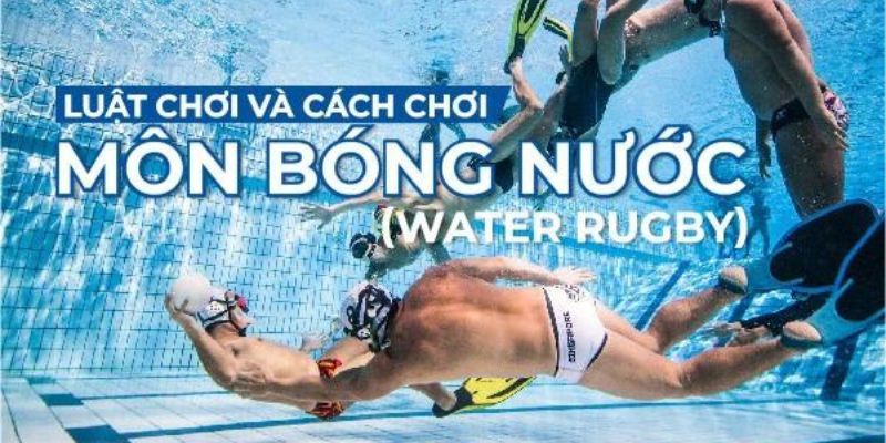Luật Chơi Bóng Nước – Nền Tảng Cơ Bản Để Cá Cược Hiệu Quả